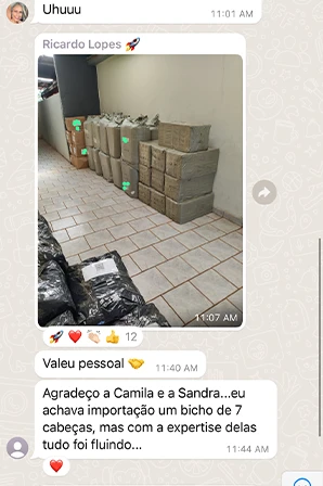 Print de importação LCL / Container Cheio de aluno